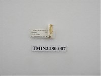 藏品(後褐斑苔蛾)的圖片